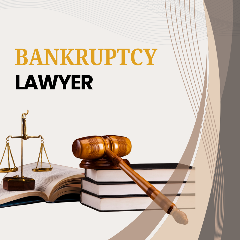 Bankruptcy Lawyer - Snapshot App