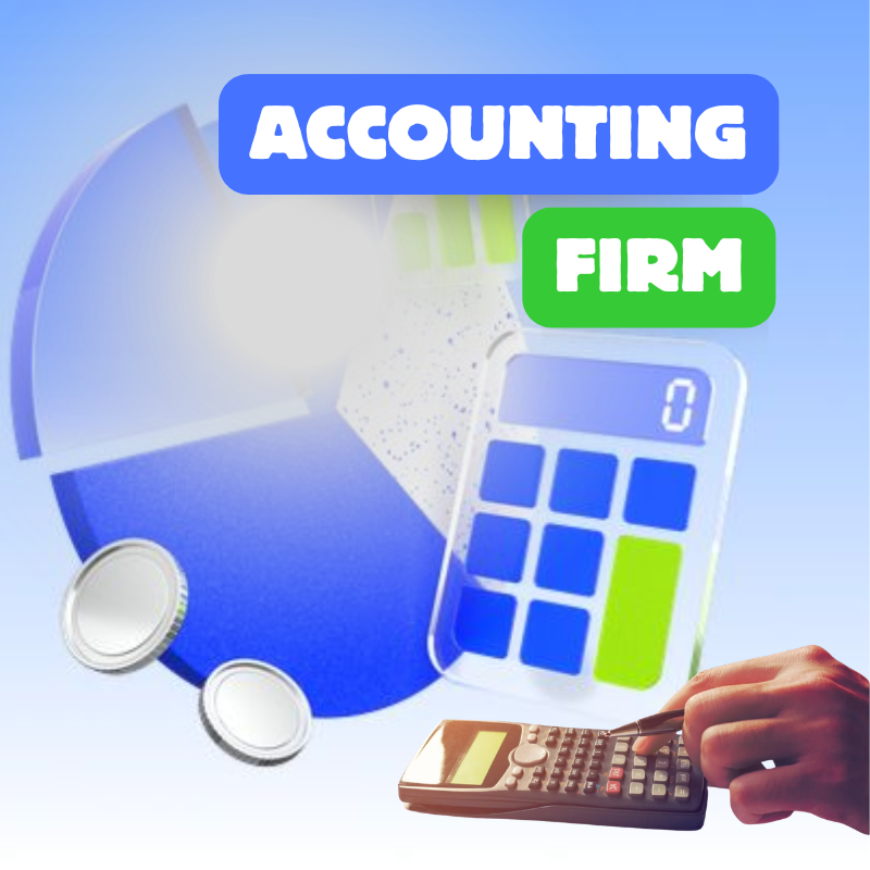 Accounting Firm - Snapshot App